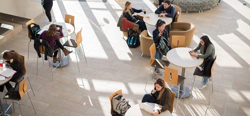 Students studying at tables in RWU's Global Heritage Hall